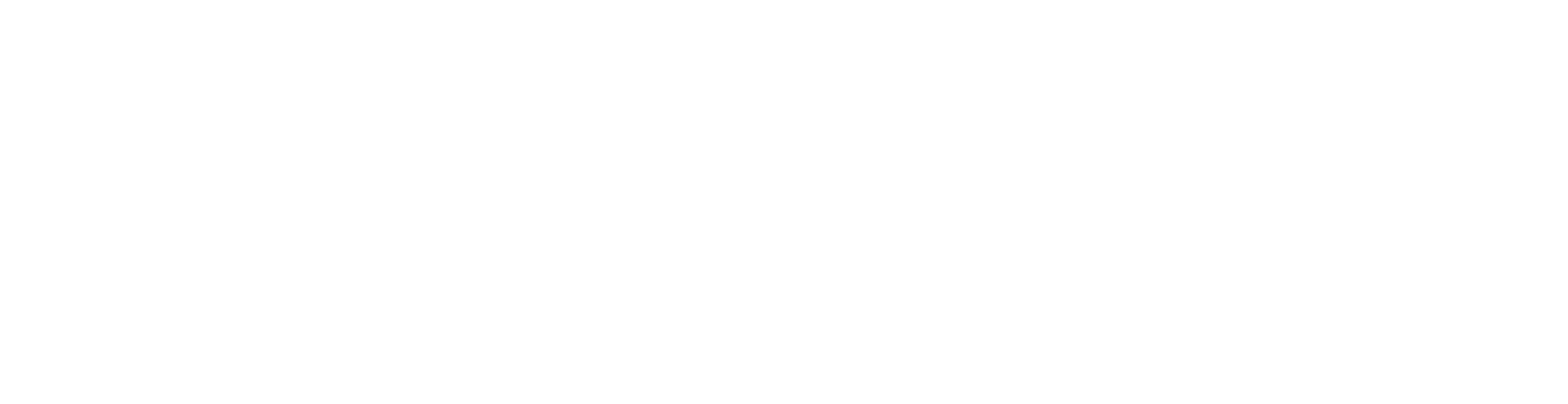 Logo wit | AIZURU.COM